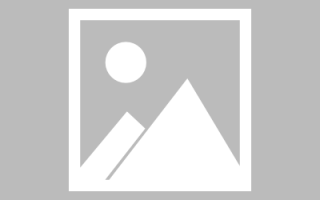 ok交易所新增动物园区，ok交易所现在什么情况